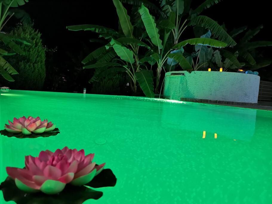Valantas Garden Suite لاردوس المظهر الخارجي الصورة